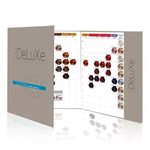 3DeLuxe Nuancier 100 mechetes